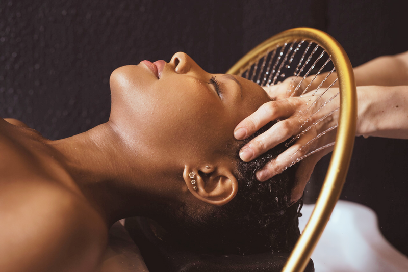 KAMIKA　ヘッドスパ Japanese Head Spa in Fairfield, Ohio | The Bianca Rose Salon